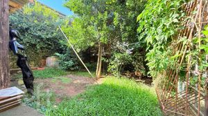 Image 45 - 866969