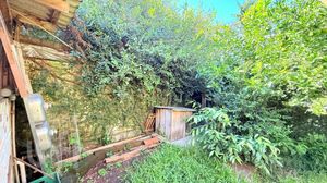 Image 44 - 866969