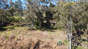 Image 32 - 867080