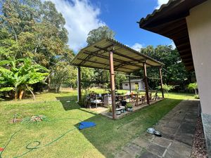Image 8 - 867284