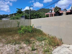 Image 3 - 867342