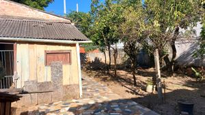 Image 12 - 867359