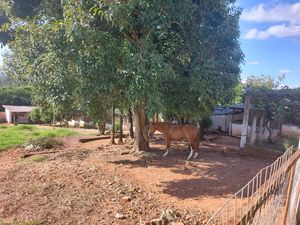 Image 17 - 867548