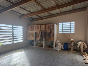 Image 15 - 867548