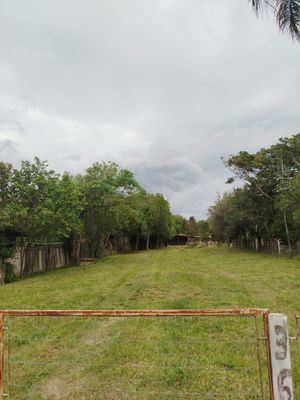 Image 12 - 867594