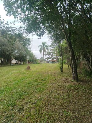 Image 9 - 867594