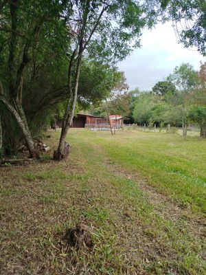 Image 6 - 867594