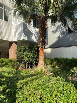 Image 19 - 867627