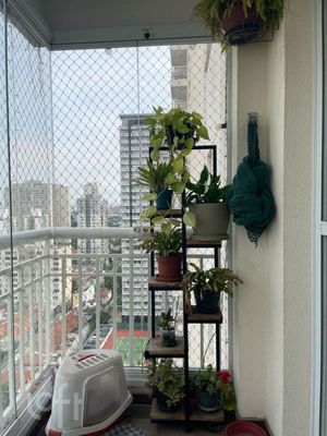Image 5 - 867715