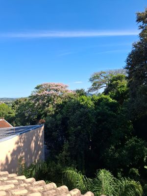 Image 11 - 867796