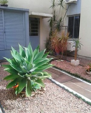 Image 9 - 867852