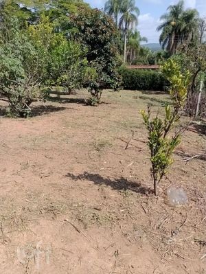 Image 10 - 867870