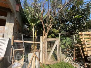 Image 4 - 867923