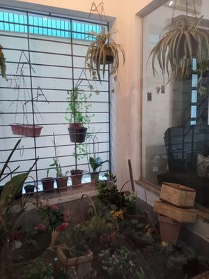 Image 4 - 868087