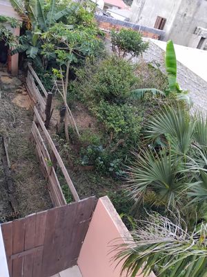 Image 5 - 868112