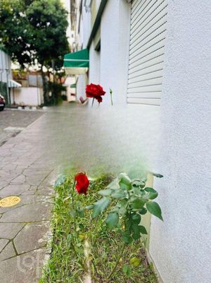 Image 30 - 868161