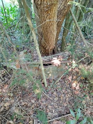 Image 15 - 868214
