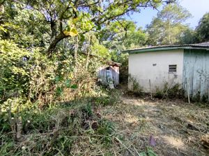 Image 8 - 868214