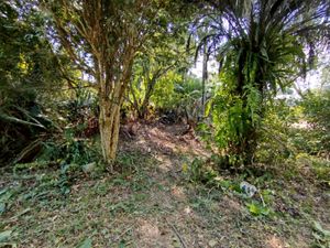 Image 20 - 868214