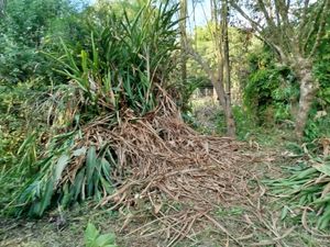 Image 10 - 868214