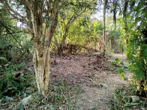 Image 12 - 868214