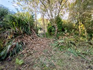 Image 13 - 868214