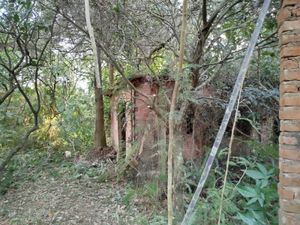 Image 19 - 868214