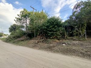 Image 17 - 868214
