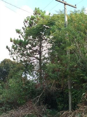 Image 16 - 868214