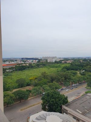 Image 15 - 868237