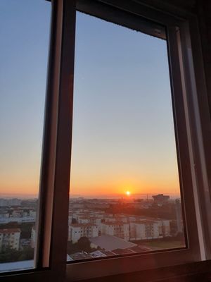 Image 14 - 868237