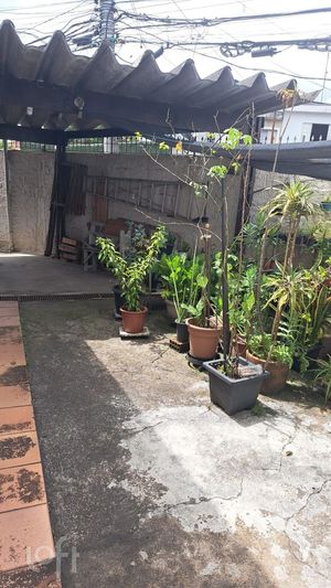 Image 12 - 868268