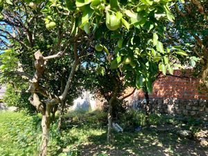 Image 10 - 868460