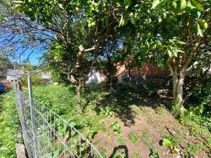 Image 11 - 868460
