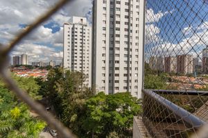 Image 43 - 868562