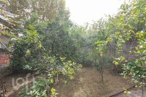 Image 23 - 868671