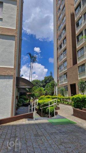 Image 8 - 868716