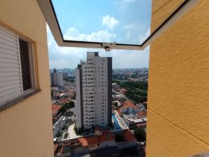 Image 11 - 868736