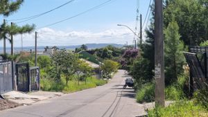 Image 4 - 868782