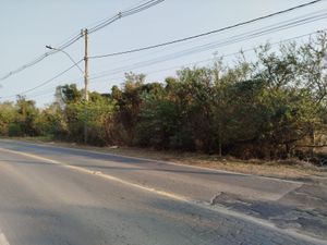 Image 3 - 868855