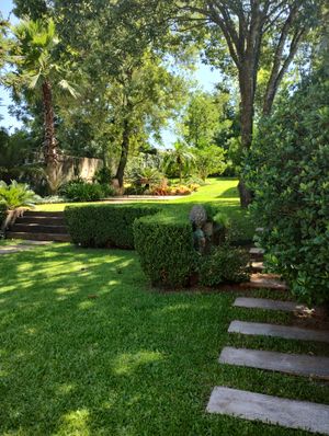 Image 4 - 868903