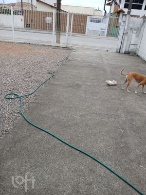Image 7 - 868995