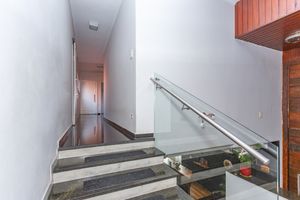 Image 10 - 869110