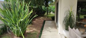 Image 5 - 869172
