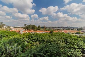 Image 12 - 869181