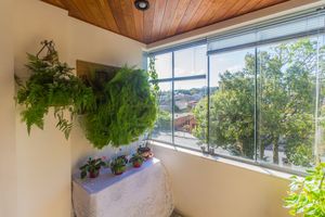 Image 7 - 869219