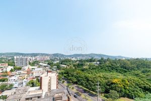 Image 12 - 869241