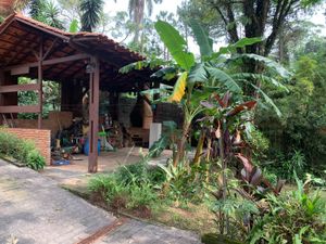 Image 2 - 869418