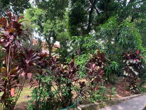 Image 18 - 869418