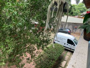 Image 31 - 869418